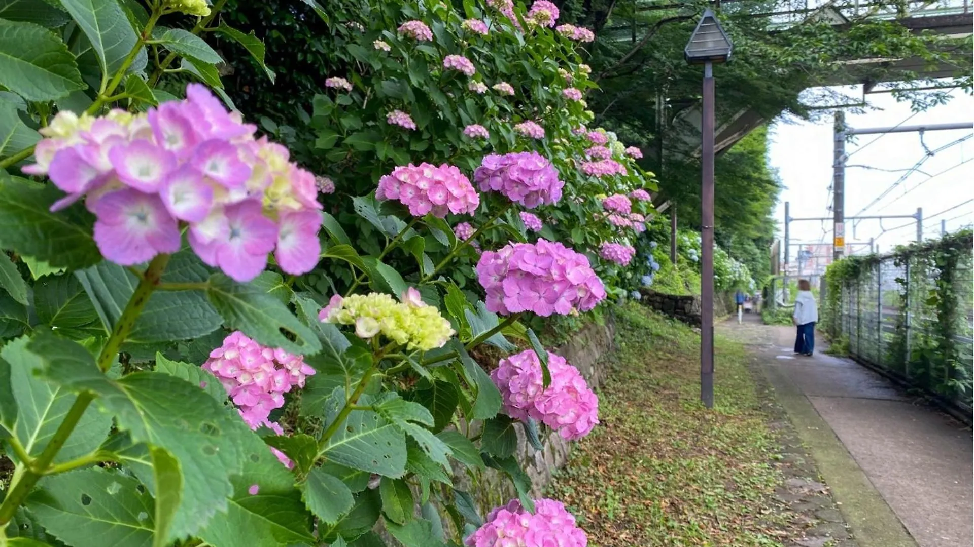 Сasa de vacaciones Bisk Park Higashijujo - Vacation Stay 83637V Tokio Japón